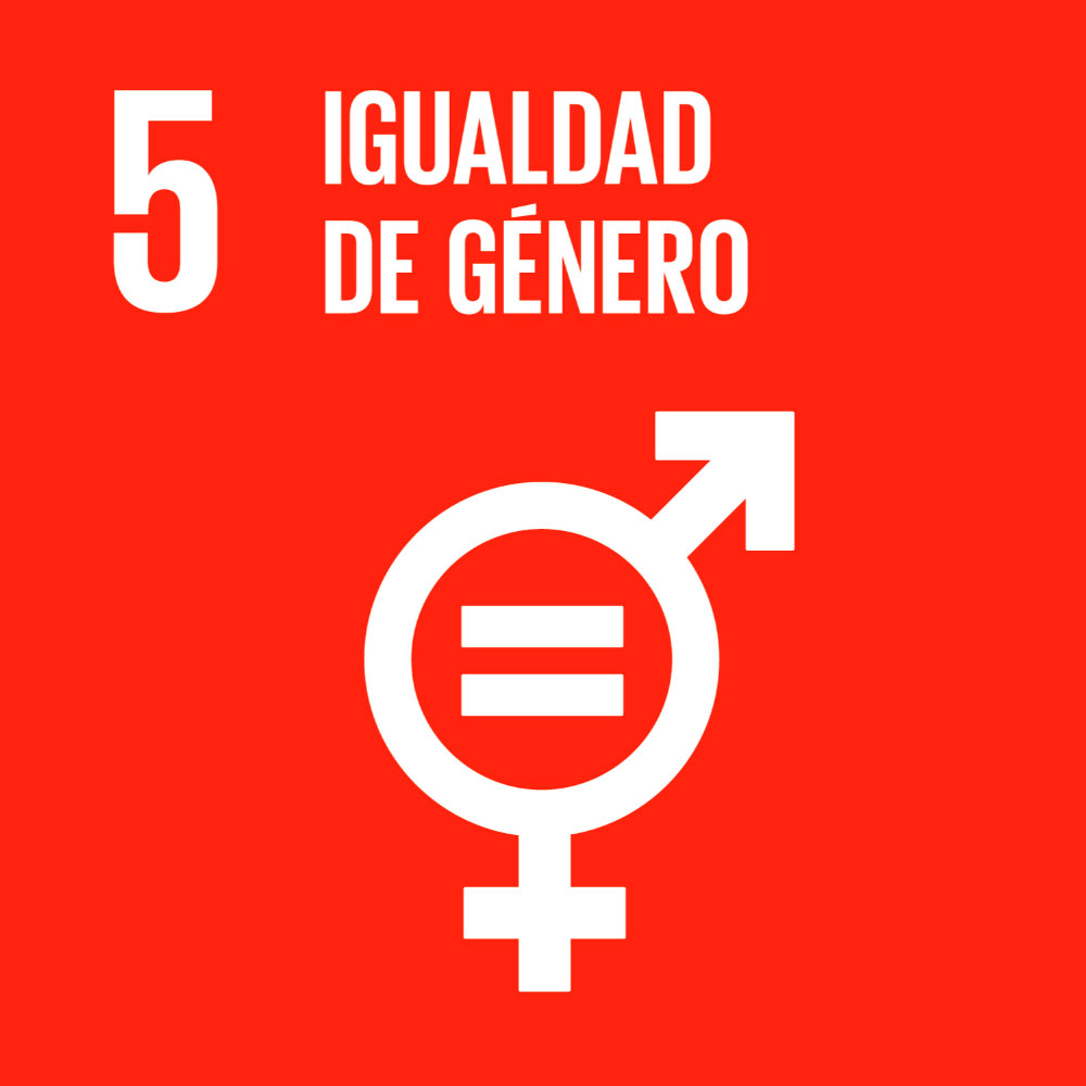 Cuadrado rojo con letras blancas, el número 5, el texto "igualdad de género" y un símbolo entrecruzado de los géneros masculino y femenino con un símbolo de igual en medio